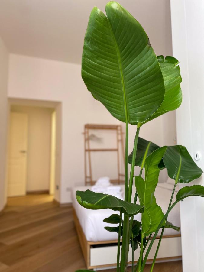 Boho Suites - Rome Colosseum Eksteriør billede